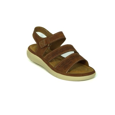 PIERRE DUMAS PAULA 14